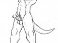 pelvicthrust45.jpg